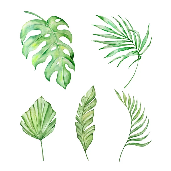 Aquarell Leuchtend Grüne Tropische Blätter Für Sommer Designs — Stockfoto