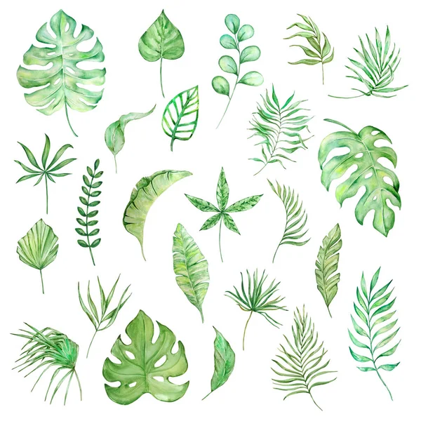 Акварель Ярко Зеленые Тропические Листья Летнего Дизайна — стоковое фото