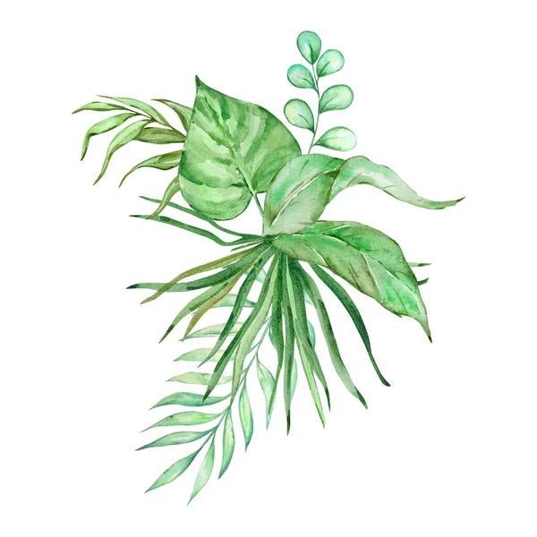 Акварельний Букет Яскравих Тропічних Листя Дизайну — стокове фото