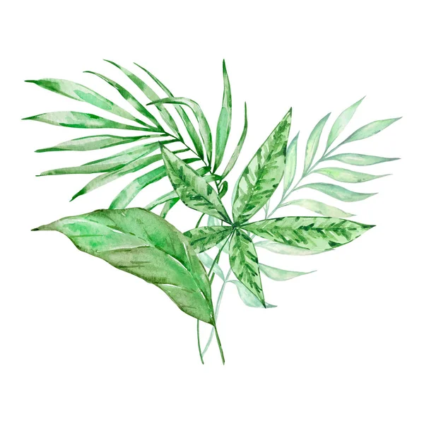 Aquarell Bouquet Aus Leuchtenden Tropischen Blättern Für Die Gestaltung — Stockfoto