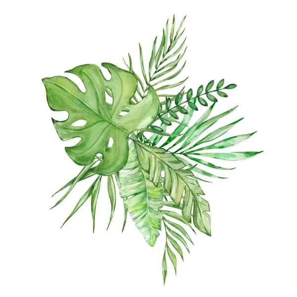 Акварельний Букет Яскравих Тропічних Листя Дизайну — стокове фото