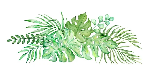 Akvarell Bukett Ljusa Tropiska Blad För Design — Stockfoto