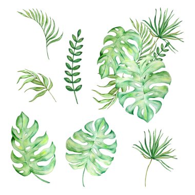 Tasarım için parlak tropikal yapraklardan oluşan suluboya buket