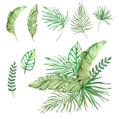 Tasarım için parlak tropikal yapraklardan oluşan suluboya buket