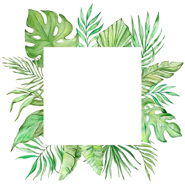 Fyrkantig Ram Med Akvarell Tropiska Blad För Sommar Design — Stockfoto