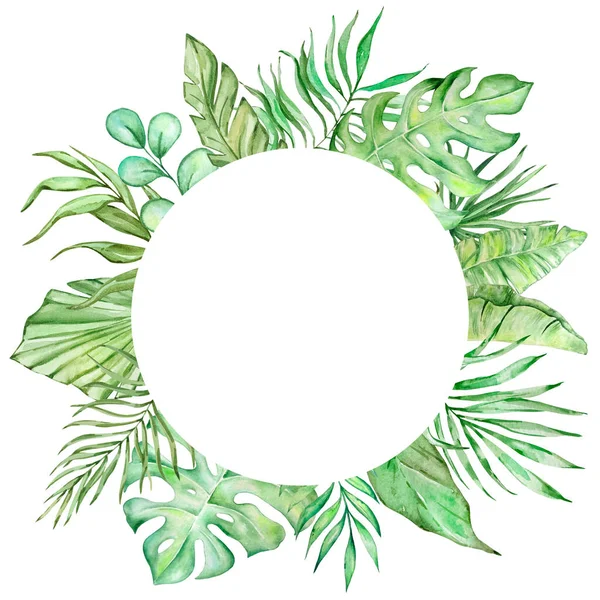 Στρογγυλό Πλαίσιο Τροπικά Φύλλα Ακουαρέλας Για Καλοκαιρινό Σχεδιασμό — Φωτογραφία Αρχείου