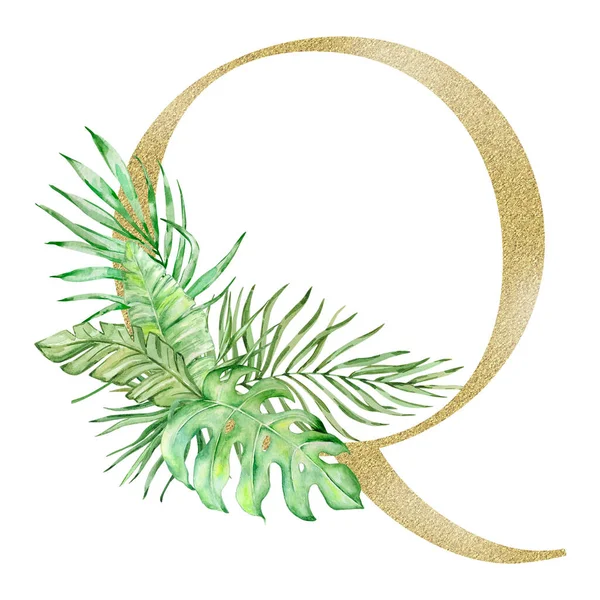 字母Q装饰水彩斑斓的热带树叶和绿叶 — 图库照片