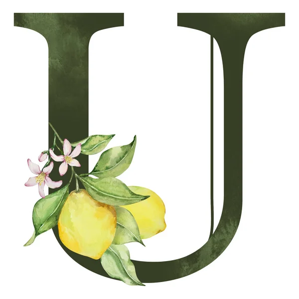 Темно Зелена Літера Акварельними Лимонами Листям — стокове фото