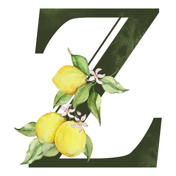 Темно Зеленая Буква Акварельными Лимонами Листьями — стоковое фото