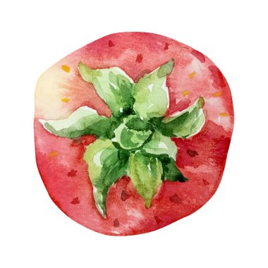 Suluboya parlak çilek, çilek