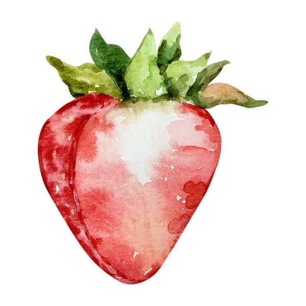 Watercolor Half Strawberry Berry — Stock Photo, Image