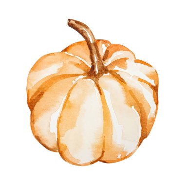 Suluboya turuncu balkabağı. Tasarım ve baskı için sonbahar çizimi.