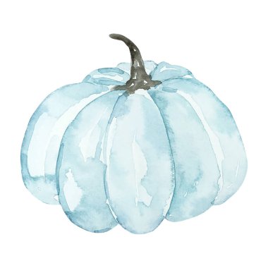 Suluboya turkuaz balkabağı, tasarım ve baskı için sonbahar illüstrasyonu