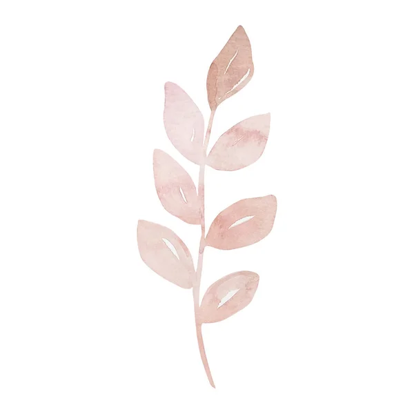 Akvarel Jemná Růžová Větev Listy Podzimní Květinové — Stock fotografie