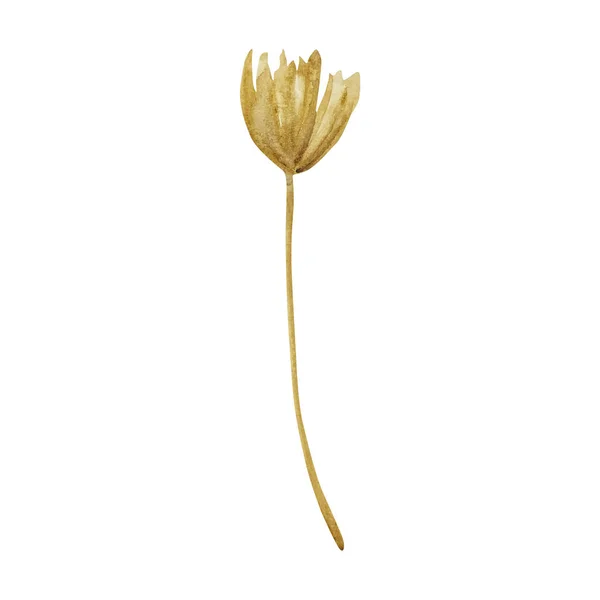 Υδατογραφία Κίτρινο Ξηρό Κλαδί Φθινοπωρινό Λουλούδι — Φωτογραφία Αρχείου