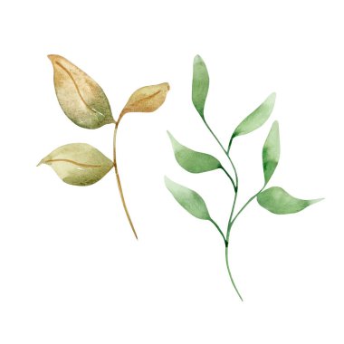 Yapraklı suluboya, sonbahar çiçekleri