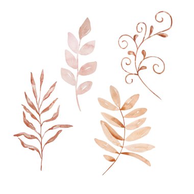 Yapraklı suluboya, sonbahar çiçekleri