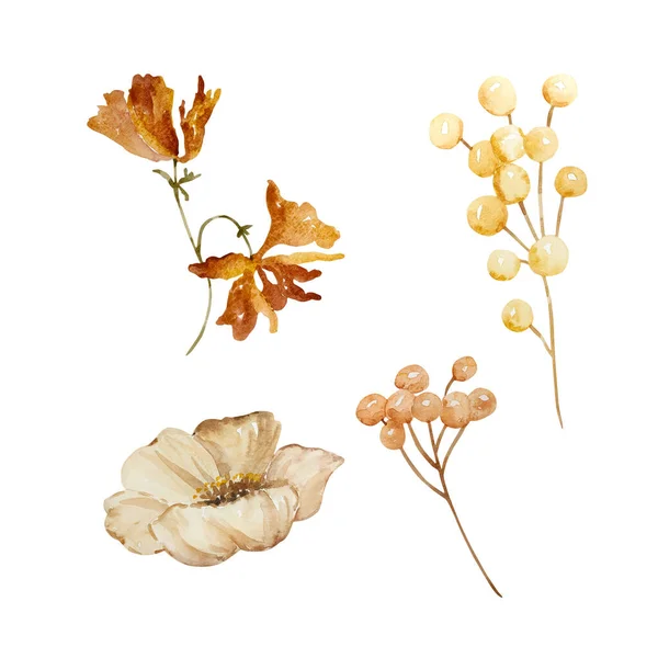 Akvarel Set Bobule Květiny Podzimní Ilustrace Pro Design Tisk — Stock fotografie
