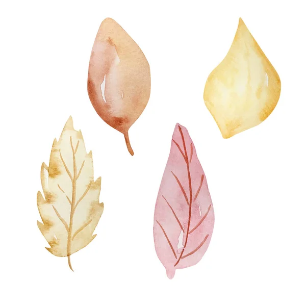 Akvarel Sada Citlivé Listy Podzimní Květinové — Stock fotografie