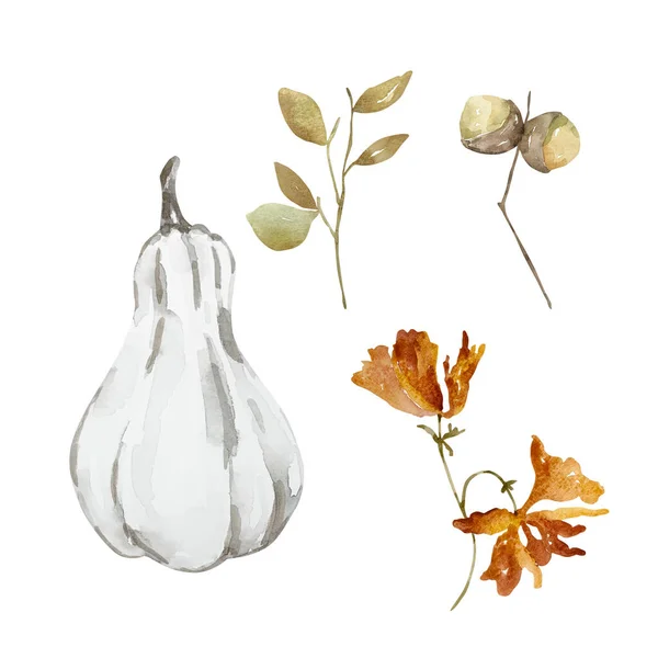 Akvarell Őszi Készlet Sütőtök Virág Design Nyomtatás — Stock Fotó
