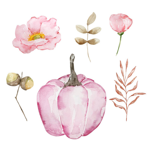 Watercolor autumn set with pumpkin and floral for design and print