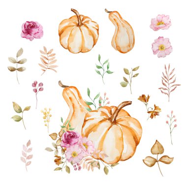 Suluboya balkabağı ve çiçeklerin sonbahar kompozisyonu, pastel renkler