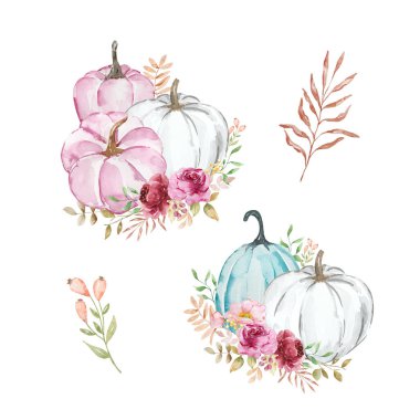 Suluboya balkabağı ve çiçeklerin sonbahar kompozisyonu, pastel renkler