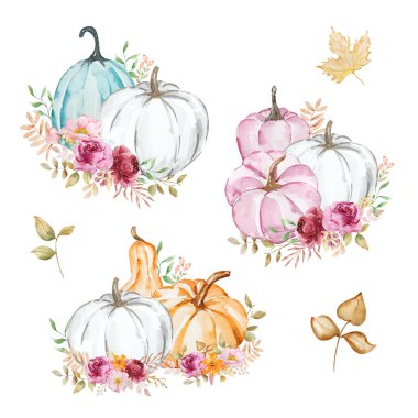 Suluboya balkabağı ve çiçeklerin sonbahar kompozisyonu, pastel renkler