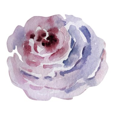 Koyu mor suluboya zarif bir çiçek