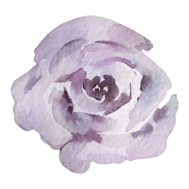 Açık mor suluboya zarif bir çiçek