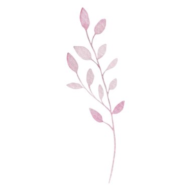 Açık pembe suluboya yapraklı zarif bir dal
