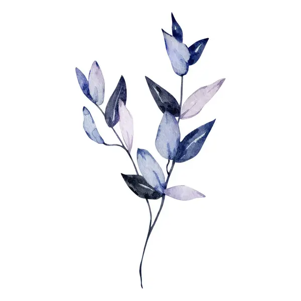 Темно Синий Акварель Элегантная Ветвь Листьями — стоковое фото