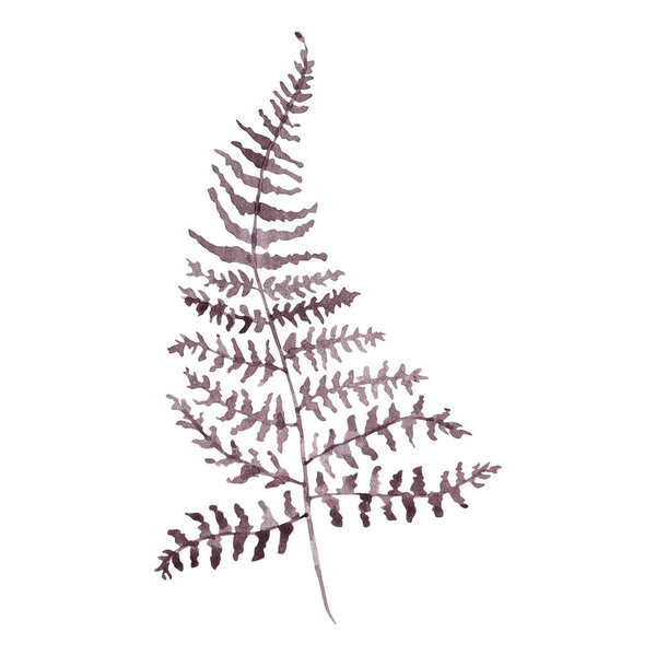 Dark purple watercolor elegant branch with leaves