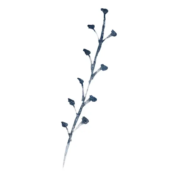 Σκούρο Μπλε Υδατογραφία Κομψό Κλαδί Φύλλα — Φωτογραφία Αρχείου