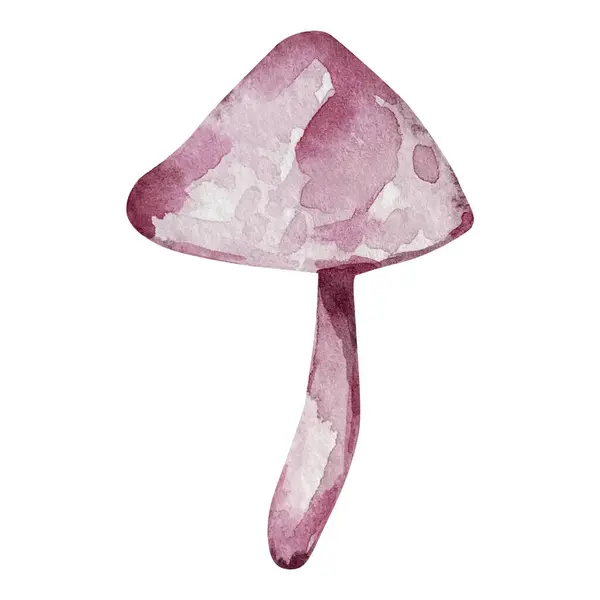 Light Pink Watercolor Abstract Mushroom — Stock Photo, Image