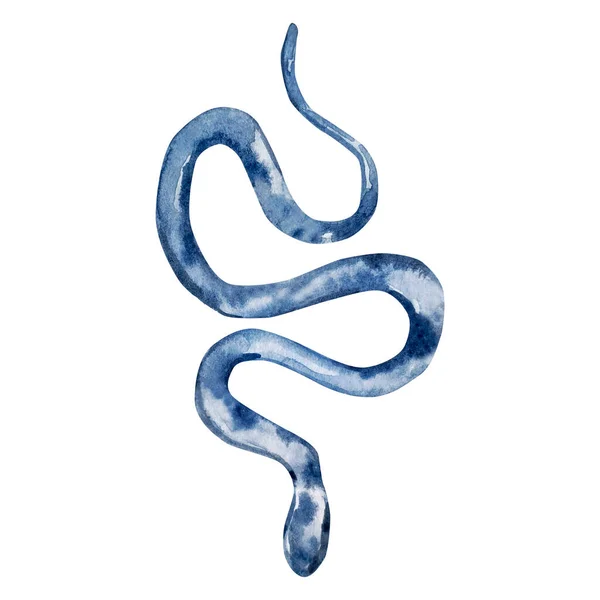水彩画蓝蛇 野生爬行动物 — 图库照片