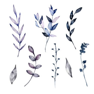 Suluboya boho yaprakları seti, çiçek çizimi