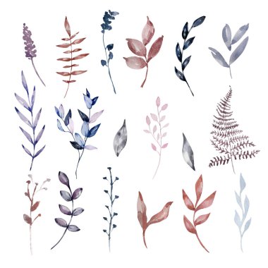 Suluboya boho yaprakları seti, çiçek çizimi