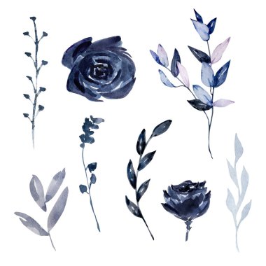 Suluboya boho çiçekleri seti, çiçek çizimi