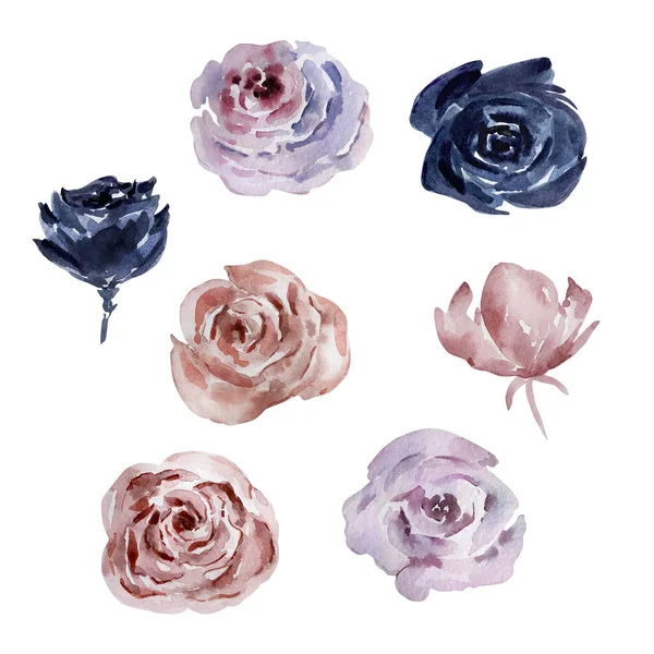 Aquarelle Ensemble Fleurs Boho Illustration Florale — Photo