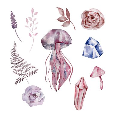 Suluboya hayvanlar, çiçek ve kristaller seti, illüstrasyon