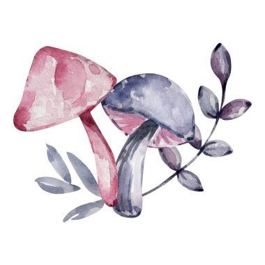 Suluboya mantarlı botanik buketi, zarif bir çiçek.