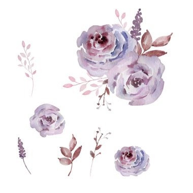 Suluboya buketler, koyu güller, çiçekler.