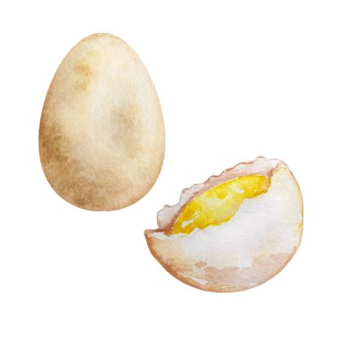 Suluboya fırın yemek seti, mutfak seti.