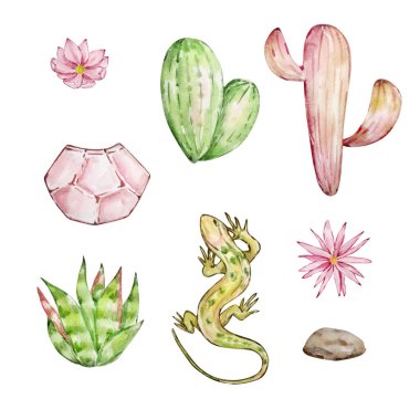 Watercolor cactus set, desert mexican plants illustration clipart