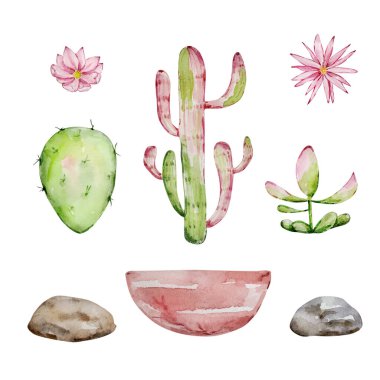 Watercolor cactus set, desert mexican plants illustration clipart