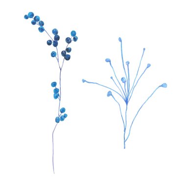 Mavi suluboya küçük böğürtlenler dizayn ve baskı için çiçek çizimi