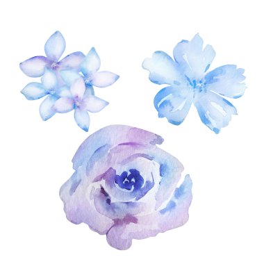 Mavi suluboya çiçek seti, desen ve desen için çiçek çizimi