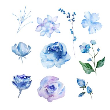 Mavi suluboya çiçek seti, desen ve desen için çiçek çizimi