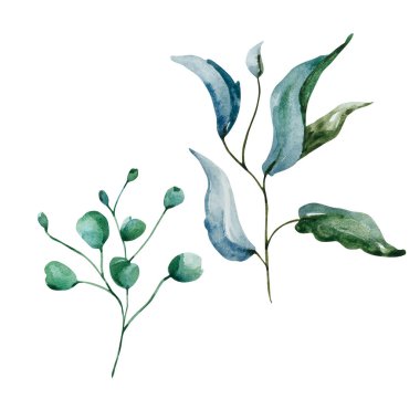 Yeşil yapraklar suluboya seti, desen ve baskı için çiçek çizimi